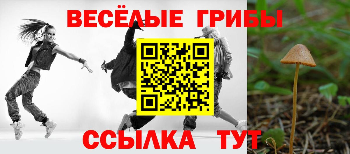 Псилоцибиновые грибы Psilocybine cubensis Сергиев Посад